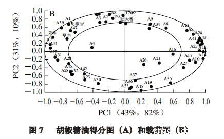 【智能感官】4 种胡椒精油风味特征分析8
